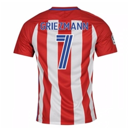 Antoine Griezmann Trikot 2016/2017 - 1